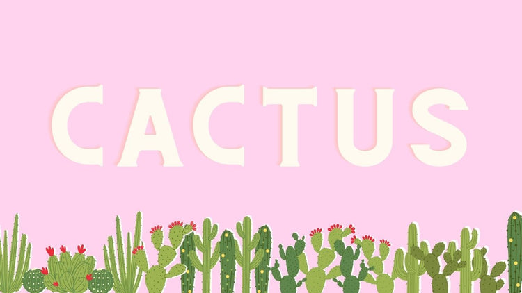 Cactus