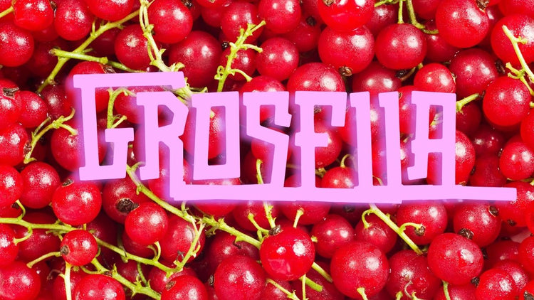 Grosella